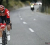 Tim Wellens vloert Valverde en wint opnieuw in Mallorca, drie op drie voor Lotto Soudal