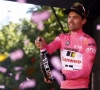 Voormalige Nederlandse rondewinnaar maakt opvallende vergelijking na roze triomf van Tom Dumoulin