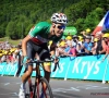 Fabio Aru won de vijfde rit in de Tour de France van 2017