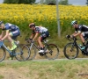 Wanty én de Belgen op kop in deze waanzinnige Tour-statistiek