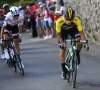 VIDEO: Woensdag nog aan het feest in de Tour, maar tien jaar geleden kwam hij op deze manier pijnlijk ten val als schansspringer