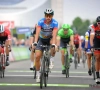 Peter Sagan steekt in bloedvorm en dat leidt tot opvallende conclusie bij Greg Van Avermaet