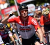 Guess who's back: Greipel wint tweede rit in Vierdaagse van Duinkerke