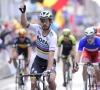 Sagan: "De 'makkelijkste' Gent-Wevelgem in jaren"