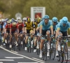 Astana aan het feest in 5e rit Baskenland, Roglic bijna zeker van eindwinst