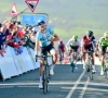 Greg Van Avermaet grijpt net naast ritzege in Tour de Yorkshire, Serge Pauwels finisht knap vierde