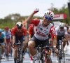 Australiër voert zevenkoppig Lotto Soudal aan 