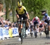 Alle data uit Gent-Wevelgem: hoe deed Wout van Aert het tegenover andere toppers als Sagan?