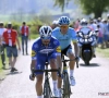 Julian Alaphilippe wint opnieuw de Waalse Pijl