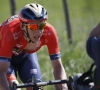 Sterke Nibali verbaast ook Dylan Teuns: "Ze leken mekaar het wit uit de ogen te kijken"