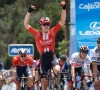 Cees Bol als sprinter naar de Tour voor Sunweb: "Er is druk, maar ik moet niets van de ploeg"