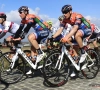 Nippo-Vini Fantini lijkt ten dode opgeschreven nu Japanse sponsor van ploeg verandert