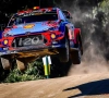 Wisselend succes voor Belgen: Neuville succesvol in shakedown, landgenoot rijdt lek in midden van woestijn