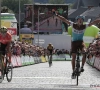 Wielerliefhebber haalt deze week hartje op met BinckBank Tour, Waalse klassiekers en start van de Giro