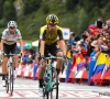 🎥 Apocalyptisch: de val van Roglic én renners die moeten wachten in de kou: "In welke andere sport is dit mogelijk?"