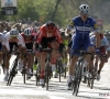 Na twee keer Jakobsen zeker andere winnaar in Scheldeprijs: dit zijn onze sterren!