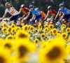 Er moet stevig geklommen worden in de derde etappe van de Ronde van Burgos