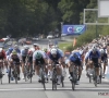 Nizzolo met sterrentrui naar Tour de France, José De Cauwer ziet hem ook daar schitteren: "Riis heeft ploeg gemaakt van los zand, dus ..."