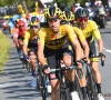 Wegvallen Pinot en rol als meesterhelper Dumoulin voornaamste conclusies na rit 8