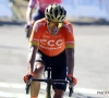 Greg Van Avermaet hoopt er nog steeds bij te zijn in de Ronde van Vlaanderen: "Elke dag gaat het iets beter"