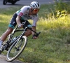 Sagan en Démare worden de mannen om in het oog te houden in sprints in de Giro