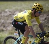 Roglic en Dumoulin hebben nog een ferm doel voor 2020 en gaan voor eerherstel