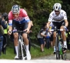 Alaphilippe draait de rollen om en gaat Van der Poel dit jaar wél vooraf in Brabantse Pijl!