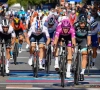 Wordt elfde etappe Giro een tweestrijd tussen Peter Sagan en Arnaud Demare?