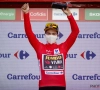 Primoz Roglic heeft opnieuw een overwinning geboekt in de Vuelta en is meteen ook de nieuwe leider 