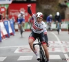 Twee in de Giro, vijf in de Tour, hoeveel Belgische ritoverwinningen in de Vuelta?