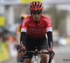 'Winner Anacona en Dayer Quintana keren terug naar Colombia'