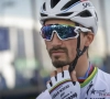 Gaat Alaphilippe opnieuw snel op pad met Wout en Mathieu? "Er is geen ideaal scenario, ik heb geen revanchegevoel"