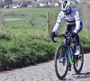 In navolging van de rest: Alaphilippe, Van Avermaet en Naesen vlammen het Ronde van Vlaanderen-parcours op