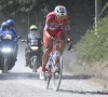 Wielertransfers: Trek-Segafredo haalt Pellaud binnen, sprinter Cimolai naar Cofidis en Astana ziet Deen vertrekken