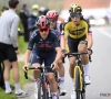 Debuterende veldrijders boven in Overijse: Tom Pidcock en niet Wout van Aert wint de Brabantse Pijl