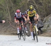 Van Aert, Pidcock en Trentin spelen hoofdrol in onze video's van Brabantse Pijl