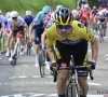 VOORBESCHOUWING: trekt Primoz Roglic opnieuw aan het langste eind in Luik-Bastenaken-Luik? En wat kunnen wereldkampioen Alaphilippe en Pogacar? 