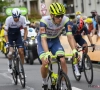 Renner van Intermarché-Wanty-Gobert verschijnt niet meer aan de start in de Tour de France door ziekte