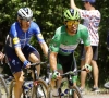 Het is gebeurd! Cavendish evenaart in Carcassonne record van Eddy Merckx in aantal ritzeges in Tour de France