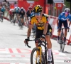 Primoz Roglic laat zich uit over groene dromen Wout van Aert