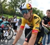 Marc Sergeant begrijpt de keuze van Wout Van Aert en rakelt een oude gelijkaardige anekdote op