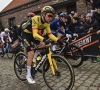 Belangrijke knecht van Wout Van Aert verlengt bij Jumbo-Visma