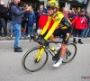 Toch nog fysieke problemen voor Primoz Roglic: "We bekijken het dag per dag"