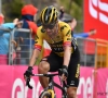 José De Cauwer hekelt de tactiek van Jumbo-Visma: "Je laat Primoz Roglic in de steek"