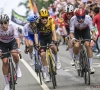 VOORBESCHOUWING TOUR DE FRANCE RIT 2: Pakt UAE weer uit of overleeft Van Aert op de Jaizkibel?