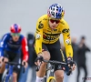 Sven Nys heeft bijzonder goed nieuws voor de fans van Wout van Aert 