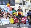 Analisten zijn het ferm oneens over Evenepoel: "Dat vergeten we bij Remco heel snel" vs "Geen verzachtende omstandigheid, maar fout van de ploeg"