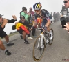 Daar is de machtswissel! Roglic rondt magistrale coup van Red Bull perfect af en zit weer op zijn Vuelta-troon