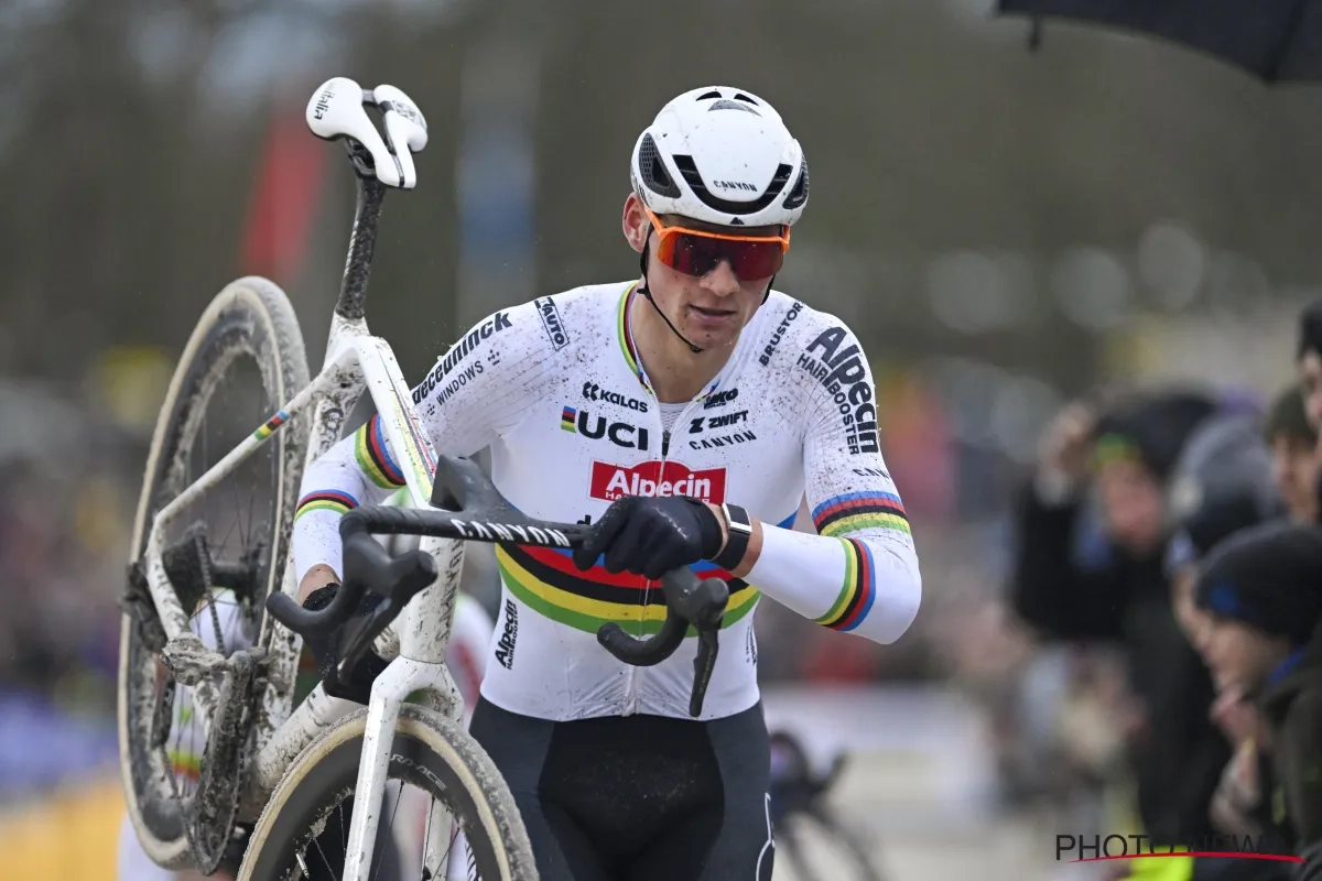 Bart Wellens is snoeihard voor Mathieu van der Poel na crossen in Zonhoven en Mol