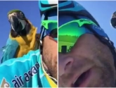 Papegaai Franky rouwt om Scarponi op plaats ongeluk